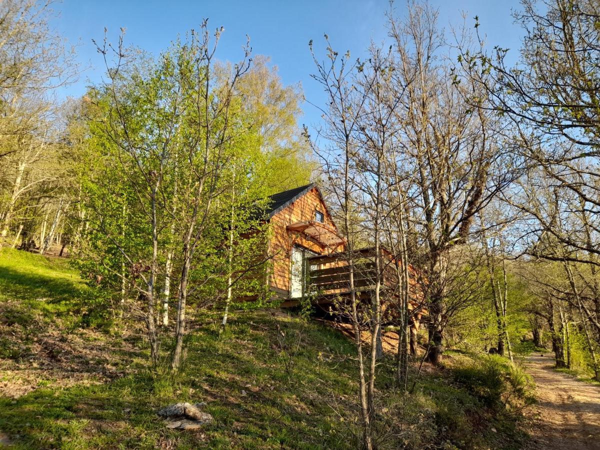 Mon Chalet Au Coeur Des Cevennes Vebron Eksteriør bilde